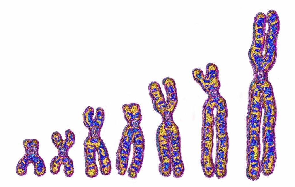 Eski bir insan türü Afrikalı atalarımızın DNA'sında iz bıraktı