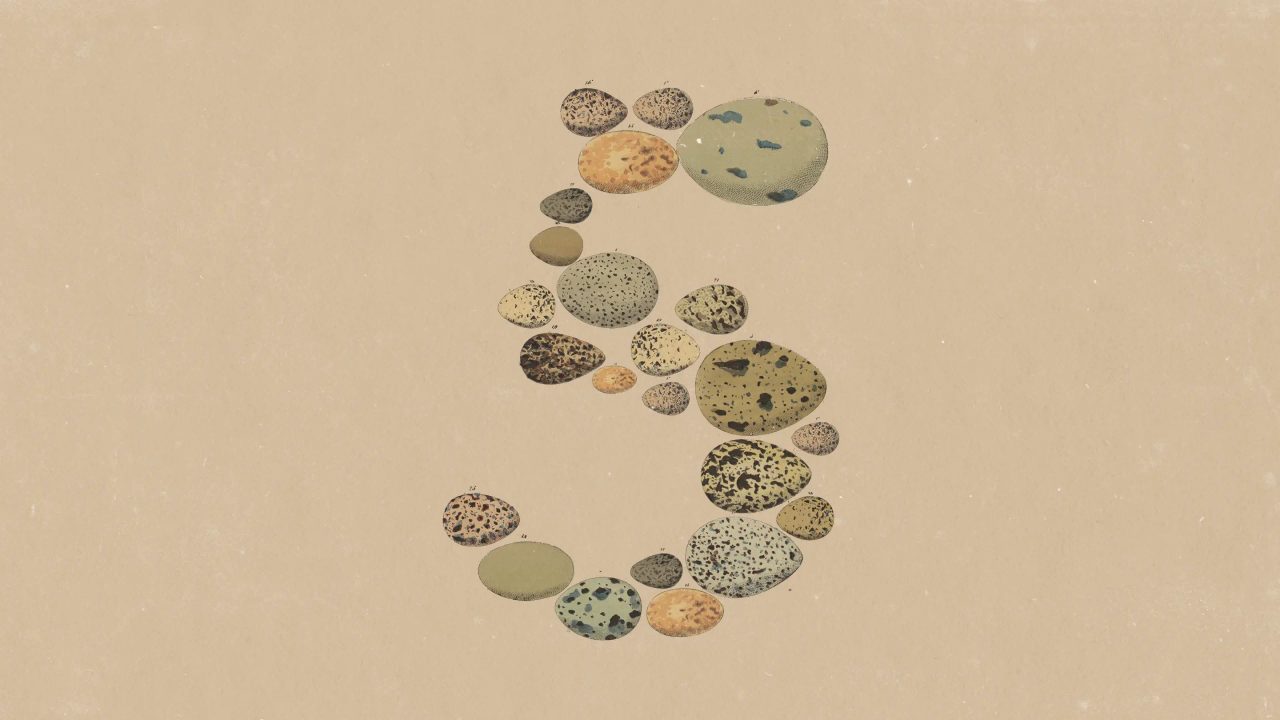 Anthropic, Claude Opus 5'i Sundu: Fable 5 Düzeyinde Performans, Yarı Fiyatla