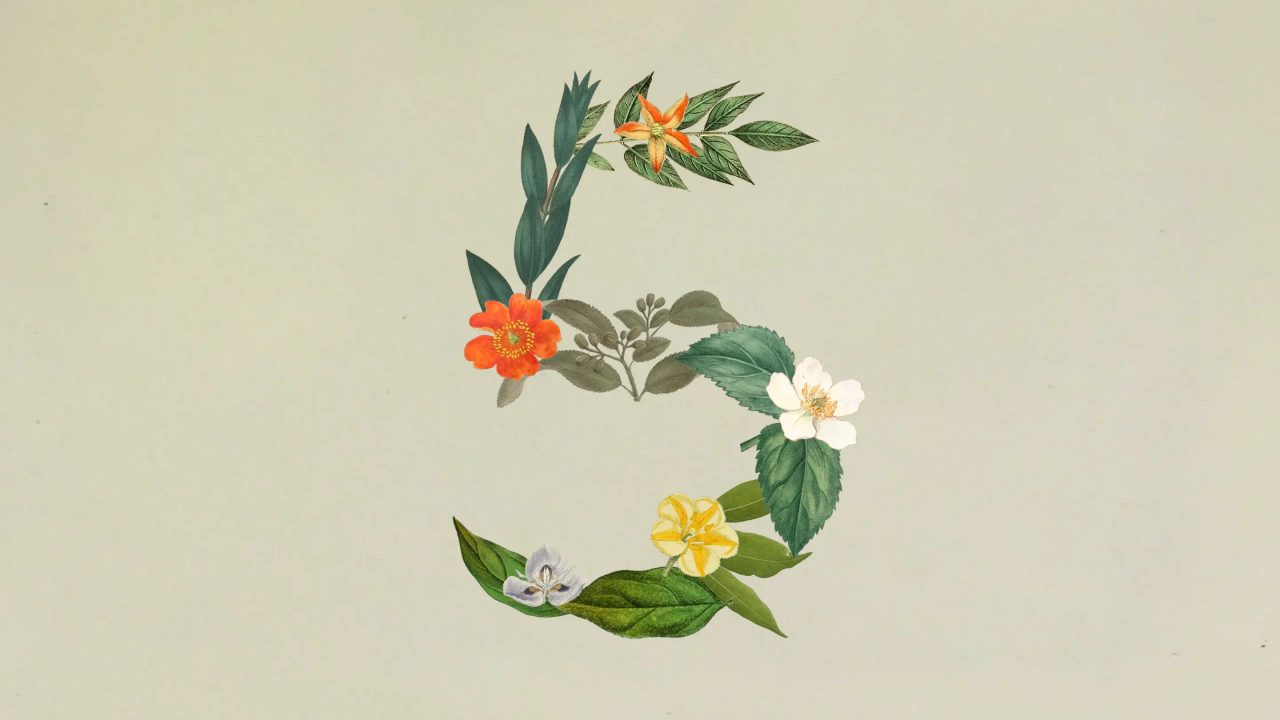 Anthropic, Claude Sonnet 5 ile Opus serisine rakip hale geldi